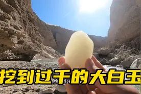 无人区挖玉小队上货，挖到一个过千的大白玉，小伙高兴的合不拢嘴视频封面