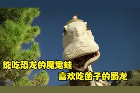 喜欢吃恐龙的魔鬼蛙，喜欢吃菌子的蜀龙，你都知道吗？视频封面