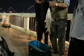 南宁邕江，大叔在清川大桥上钓到一条4斤重孟加拉，一口价40块视频封面