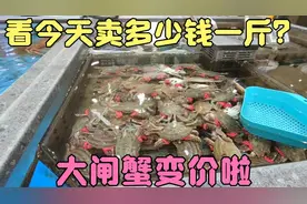 山东大闸蟹变价啦，今天去集市，看看卖多少钱一斤？集市人真多