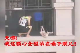 惊险一刻！猫咪悬挂在窗边，心都要跳出来了！视频封面