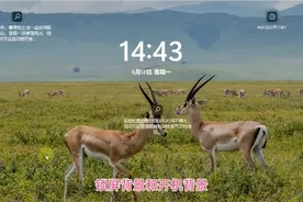 如何更改win11锁屏界面、开机图片？精美壁纸开机锁屏不枯燥！视频封面