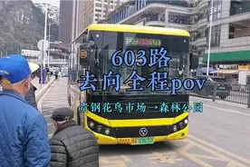 贵阳公交603路全程pov：贵钢花鸟市场——森林公园视频封面