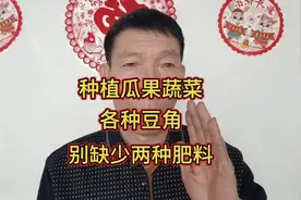 种植瓜果蔬菜和各种豆角，记得别缺少两种肥料，这是结果多的关键视频封面