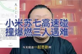 小米SU7高速碰撞爆燃，三人遇难。视频封面