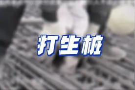 你听说过鲁班秘术—打生桩吗视频封面