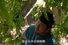 为了荔枝保鲜，李善德真是绞尽脑汁#长安的荔枝