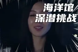 无悔的爱视频封面