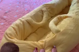 甜甜的文案我没有，我只有只甜甜的小猫咪🐱