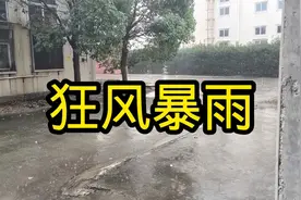 上海松江，今天下午4点，狂风暴雨有点吓人视频封面