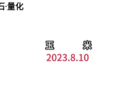 自带10倍杠杆，短期能实现财务自由的，也就期货了！视频封面