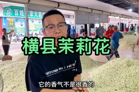 今年的茉莉花价格突破新高，什么原因呢？带你去广西横县看看视频封面