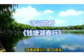 诗词赏析-《钱塘湖春行》.唐.白居易视频封面