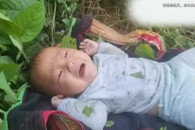越南小男孩，小天妈妈继续找孩子视频封面