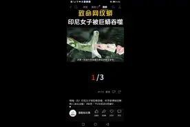 印尼女子被巨蟒吞噻视频封面