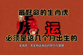 最好命的生肖虎一辈子不缺钱，原来是这几个月出生的，越老越有福视频封面
