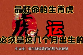 最好命的生肖虎一辈子不缺钱，原来是这几个月出生的，越老越有福视频封面