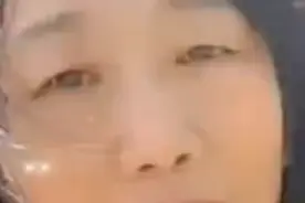 平阴芳蕾玫瑰花🌹开正当时