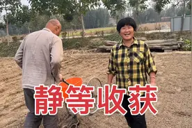 老毕播种妻子跟随，热心的二嫂给菜籽种，夫唱妇随真好视频封面