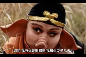 嫦娥到底爱过猪八戒吗？视频封面