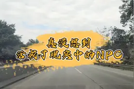 我以为我是现实的游戏者，却没料到活成了，现实中的NPC！视频封面