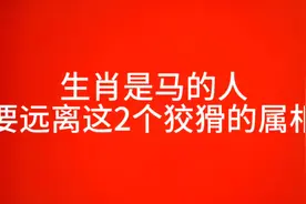 生肖是马的人，要远离这两个狡猾的属相，人前一套人后一套。视频封面