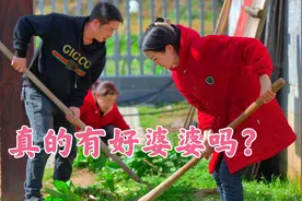 儿子永远是自己生的，媳妇是别人生的，媳妇付出再多永远是外人？视频封面