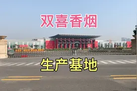 实拍双喜香烟广州生产基地，规模真大画面太震撼了，员工都开豪车