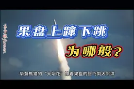 果盘上蹿下跳为哪般？