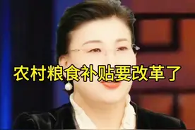 农村粮食补贴要改革了,你了解了吗？视频封面