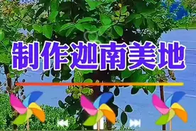 最美的赞歌，迦南美地
