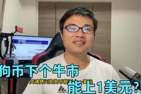 狗狗币下轮牛市能否上1$，还看这个。视频封面