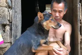 一个不要本钱的养殖，6个月可赚20000元，适合任何人，养了都赚视频封面