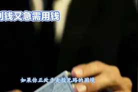 借不到钱，走投无路怎么办？视频封面