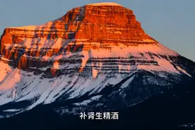 补肾生精酒配方视频封面