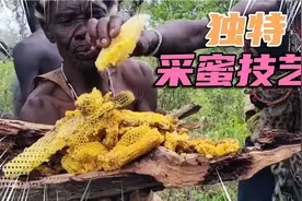 非洲土著采蜜技艺，勇敢挑战蜜蜂王国的惊险历程，纯天然的蜂蜜！视频封面