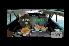 七年之痒！向往的生活小H小O日常生活大公开！是否有了小宝宝？