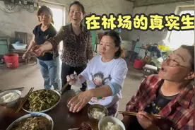 停止采伐后的小兴安岭林场，仅剩一户居民，现在生计靠什么呢？视频封面