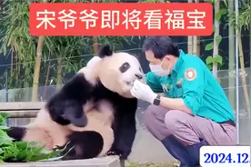 热烈欢迎宋爷爷，希望到时候福宝的病也好了，见了爷爷肯定全好了视频封面