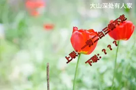 上联：一穷二白三餐不定，下联：？？？视频封面