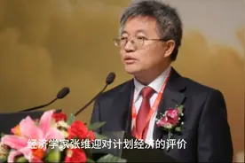 经济学家张维迎和许小年对“计划经济”和“政府干预市场”的评价视频封面