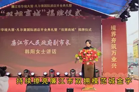 凡尔赛国际酒店开业暨“双拥商城”揭牌廉江市副市长韩阳致词视频封面