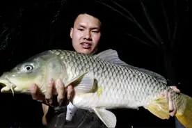 鲤鱼特效饵料，花1毛钱钓1年，钓鱼高手都在用视频封面