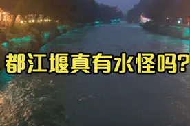 都江堰现巨型不明生物，传说中的水怪真的存在吗视频封面