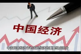 中国经济：民企崛起，未来可期！视频封面