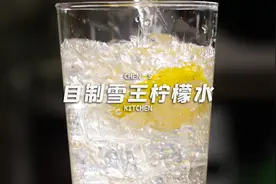 对不起，蜜雪冰城！复刻冰鲜柠檬水！高还原度！开店级配方！