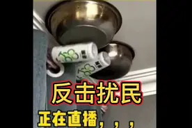 反击楼上扰民，三大神器！视频封面