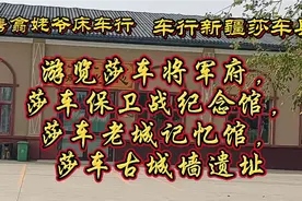 蒲类成秦地,莎车属汉家。视频封面