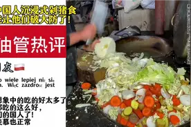 老外看中国人普通喂猪大餐，在外网引起争议，他们是做泡菜吗？视频封面