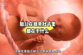 胎儿在母亲肚子里都在干什么